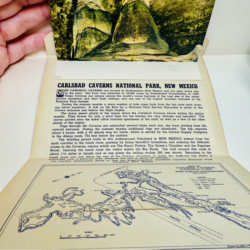 Genuine Vintage 1950 Curteich Carlsbad Caverns National Park Accordion Postcard - Picture 6 of 10